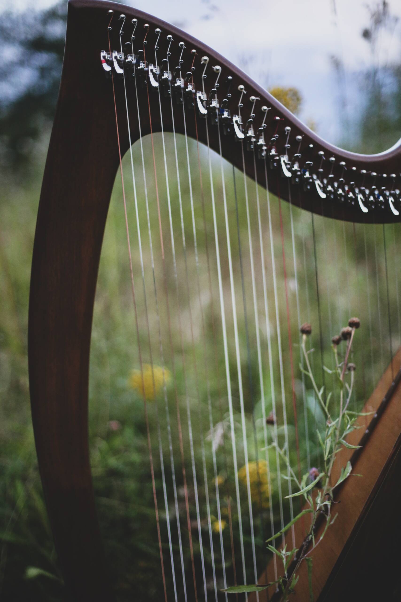 Harpe nature